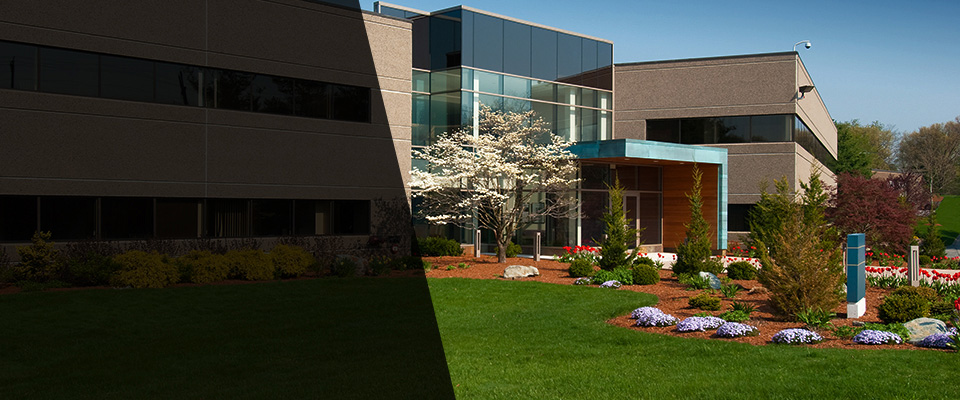 Waimanalo Landscapers