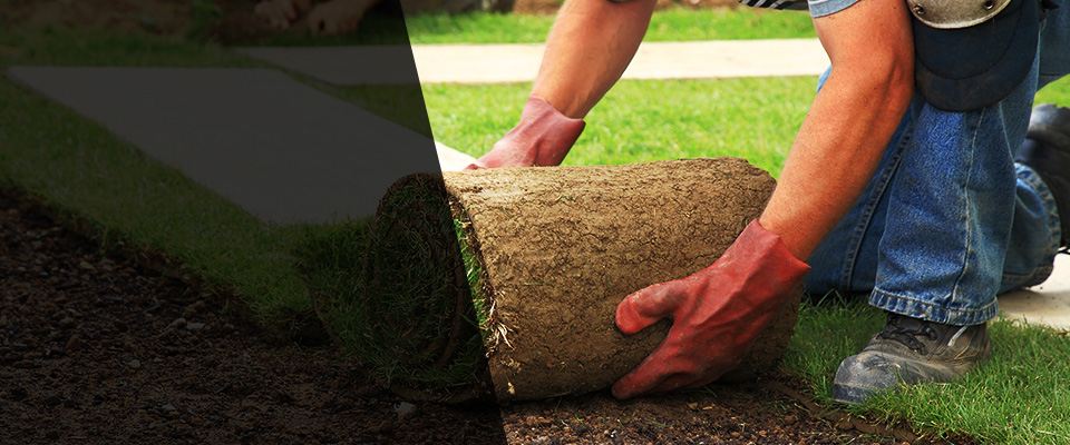 Waimanalo Landscapers